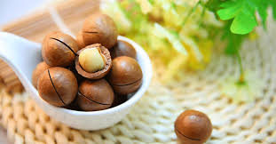 The Origins and Cultural Journey of Macadamia Nuts